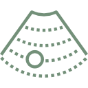 Veterinarian in Freeland, PA - Ultrasounds